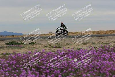 media/Jan-14-2023-SoCal Trackdays (Sat) [[497694156f]]/Turn 14 Exit Bloomig (145pm)/